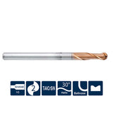 G-SH260-BN2-H  2 Flutes, Ballnose, with Long Neck