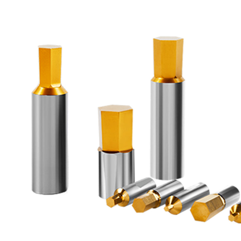 Hex Socket Punch, Spline Square Plum Punch, Rotating Punch Tool, Swiss Lathe Back Axis Punch, Universal Punch Shank