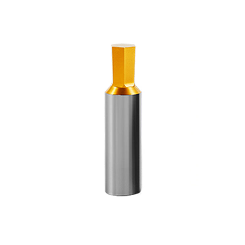 Hex Socket Punch, Spline Square Plum Punch, Rotating Punch Tool, Swiss Lathe Back Axis Punch, Universal Punch Shank