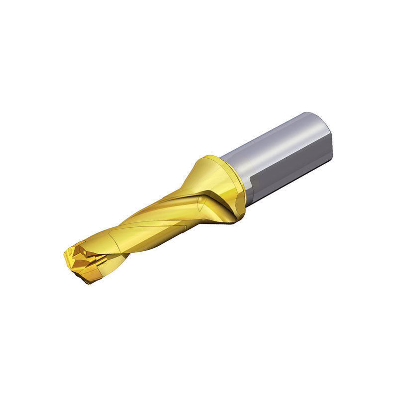 TCD-3XD (Weldon Shank) DRILLRUSH Head changeable drills with Weldon shank (3xD) and coolant holes - Big-tools Industrial Supply Tools for Metal Cutting