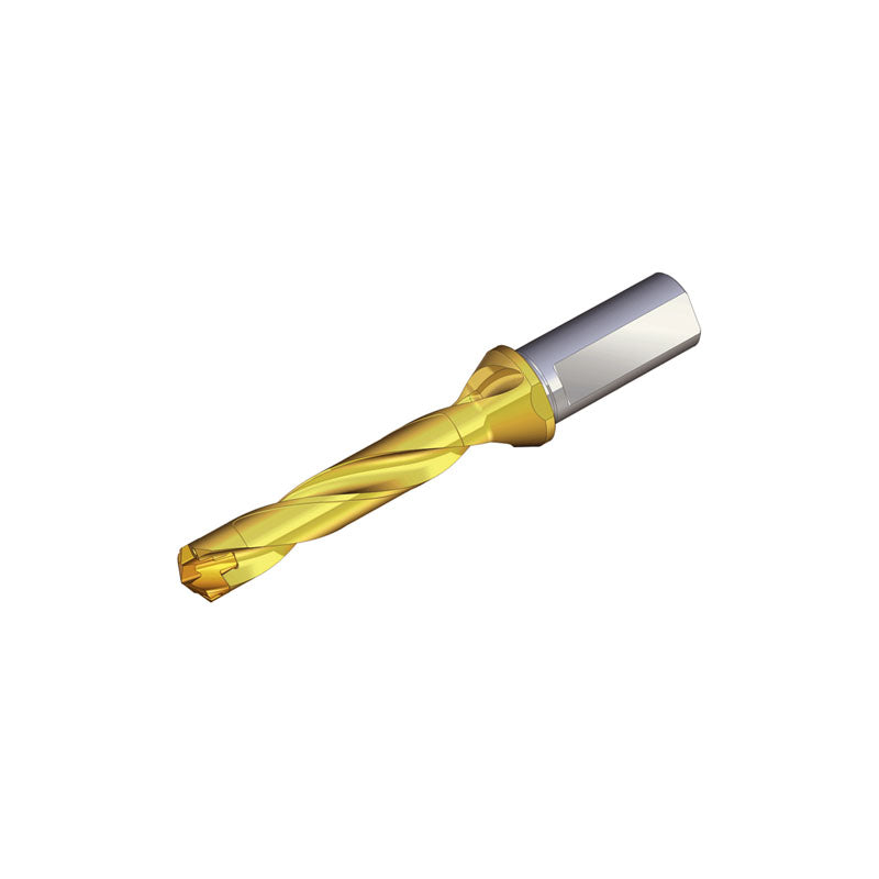 TCD-5XD (Weldon Shank)  DRILLRUSH Head changeable drills with Weldon shank (5xD) and coolant holes - Big-tools Industrial Supply Tools for Metal Cutting